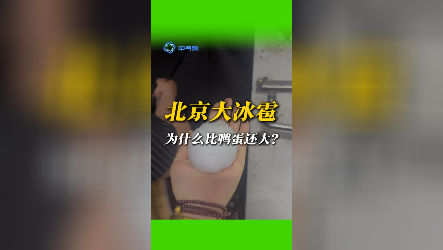 外交部长王毅答记者问,新澳门内部一码精准公开2025年,经典解释落实_权威版V9.59